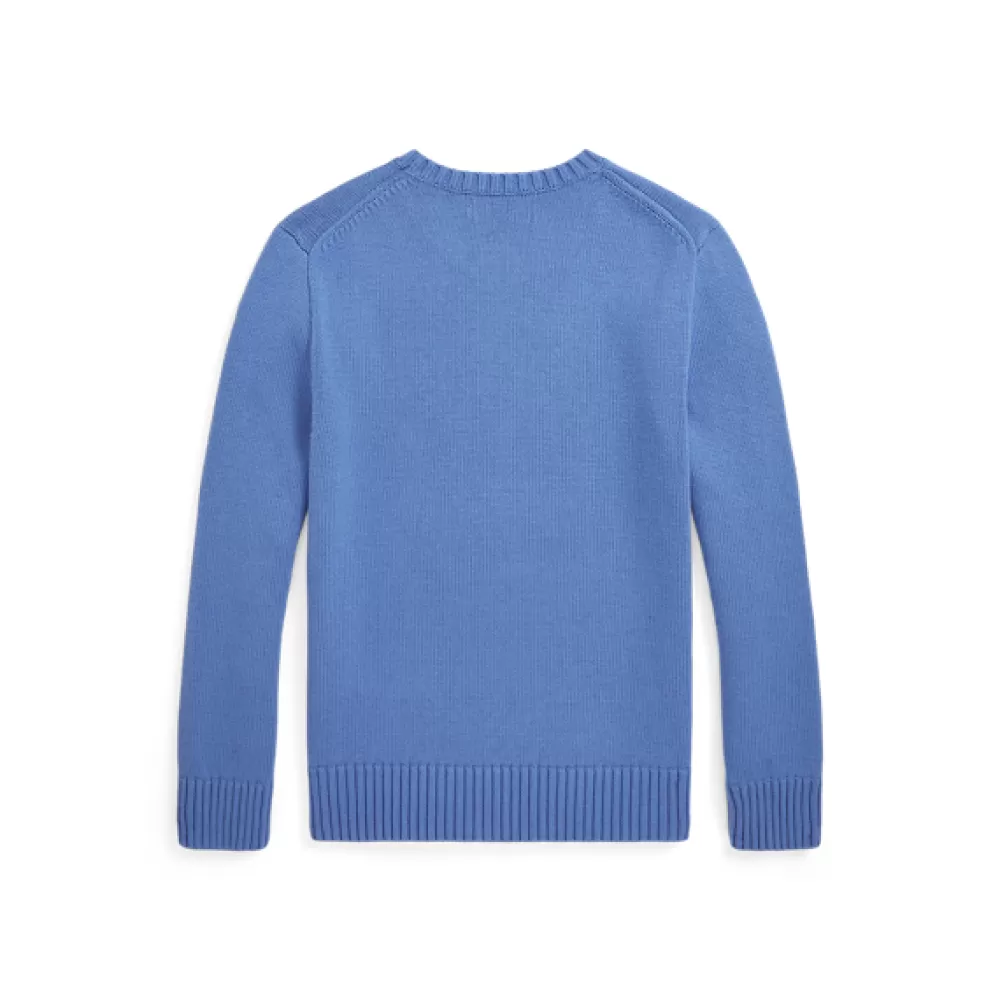 Pullover Und Strickjacken | Kleidung Für Besonders Anlässe>Ralph Lauren Pullover Und Strickjacken | Kleidung Für Besonders Anlässe Baumwollpullover mit Hundemotiv für Children | ® DE