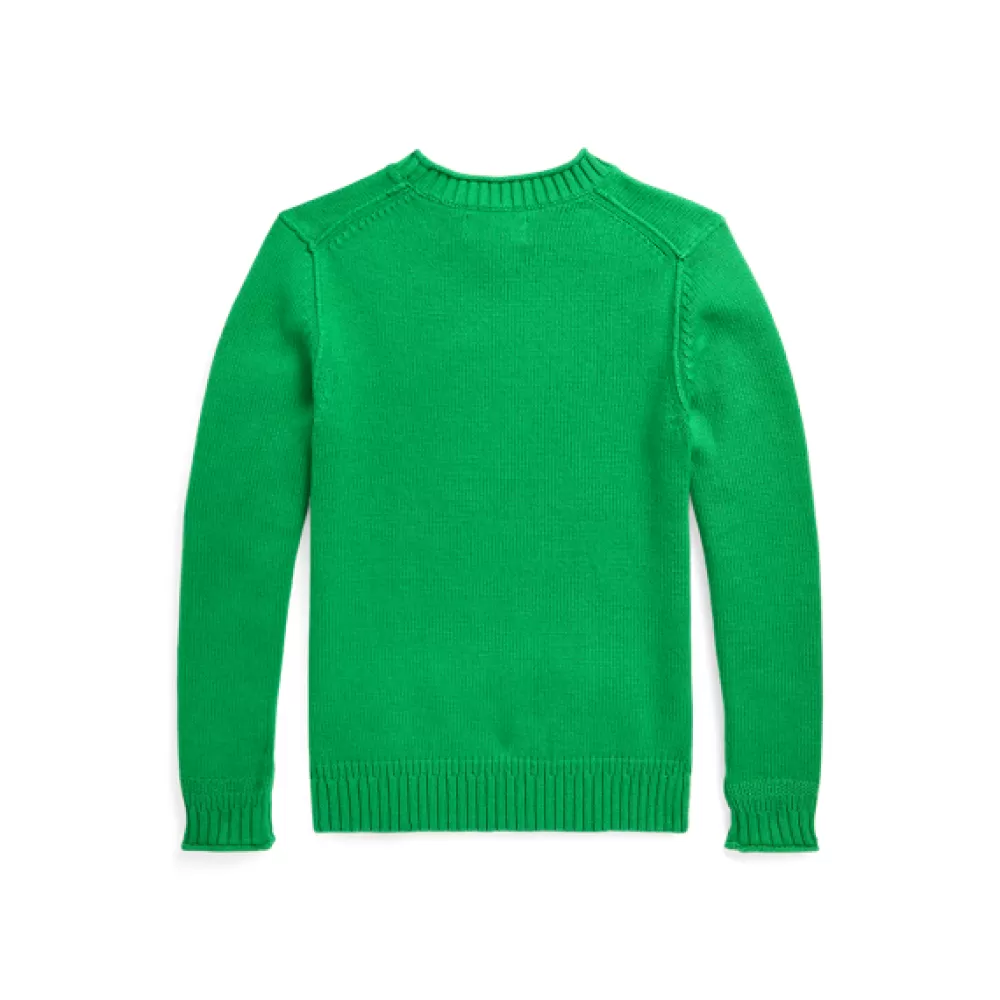 Pullover Und Strickjacken | Jungen 6-14 Jahre>Ralph Lauren Pullover Und Strickjacken | Jungen 6-14 Jahre Flaggenpullover mit gerolltem Ausschnitt für Children | ® DE