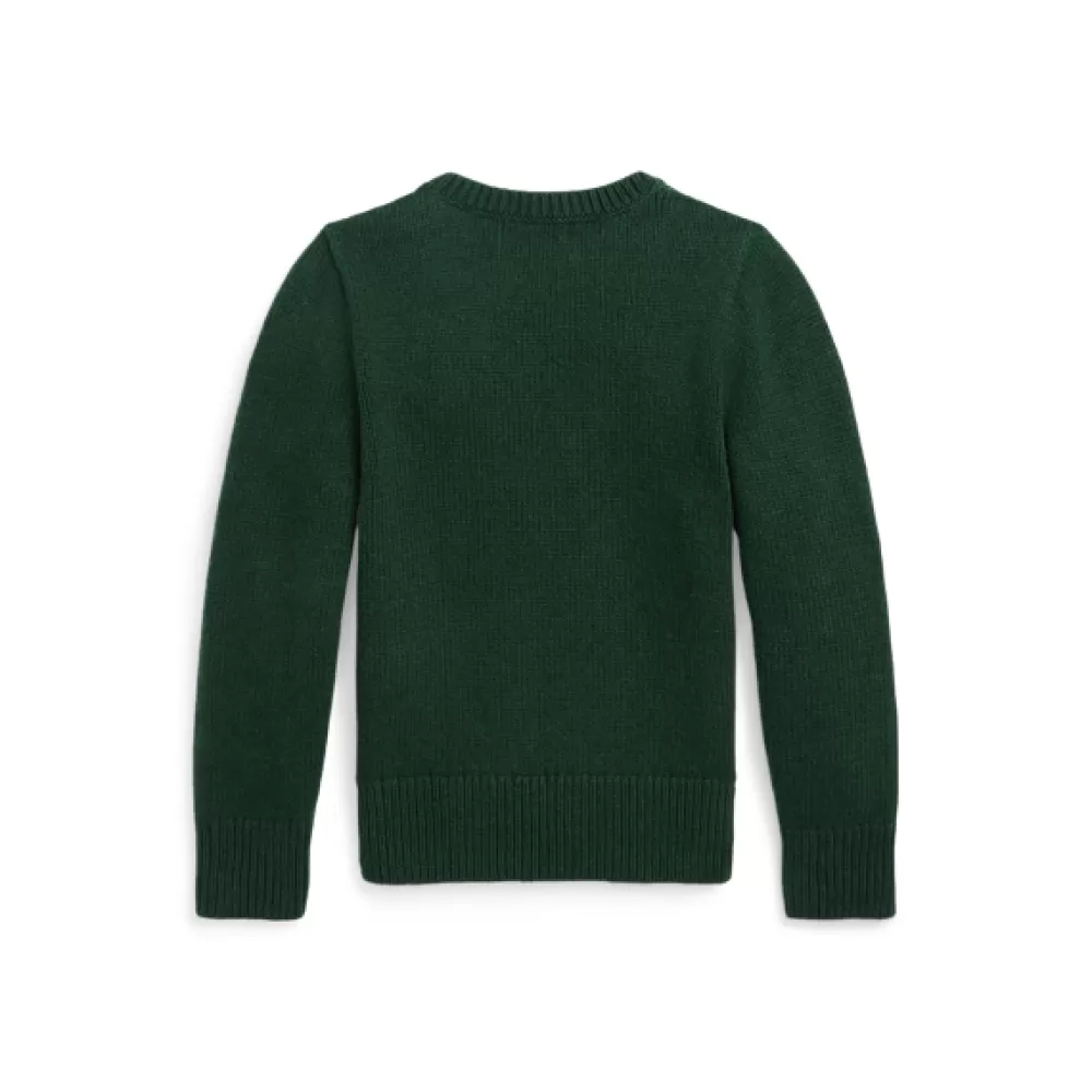 Sportbekleidung | Pullover Und Strickjacken>Ralph Lauren Sportbekleidung | Pullover Und Strickjacken Polo-Pullover mit Intarsienstrickerei für Children | ® DE