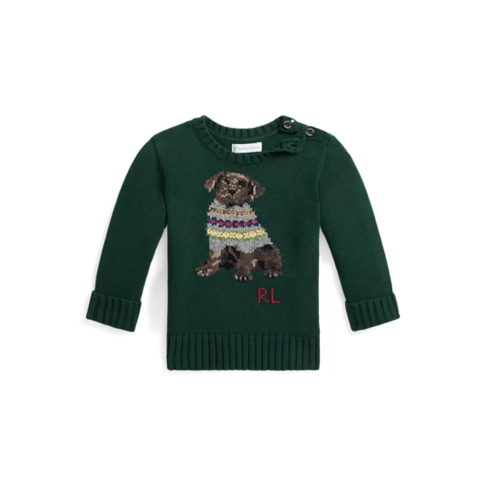 Pullover & Strickjacken | Grundausstattung Für Neugeborene>Ralph Lauren Pullover & Strickjacken | Grundausstattung Für Neugeborene Rundhalspullover mit Intarsienstrickerei für Baby | ® DE