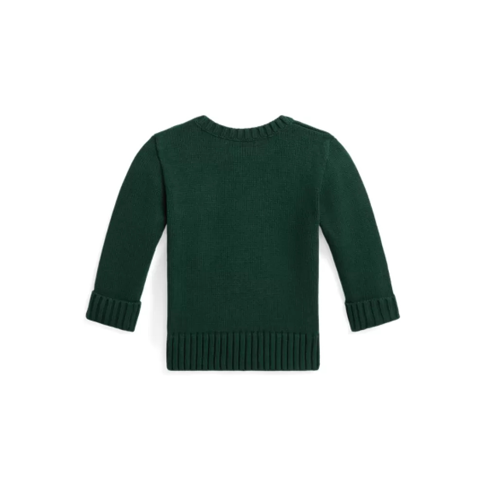 Pullover & Strickjacken | Grundausstattung Für Neugeborene>Ralph Lauren Pullover & Strickjacken | Grundausstattung Für Neugeborene Rundhalspullover mit Intarsienstrickerei für Baby | ® DE