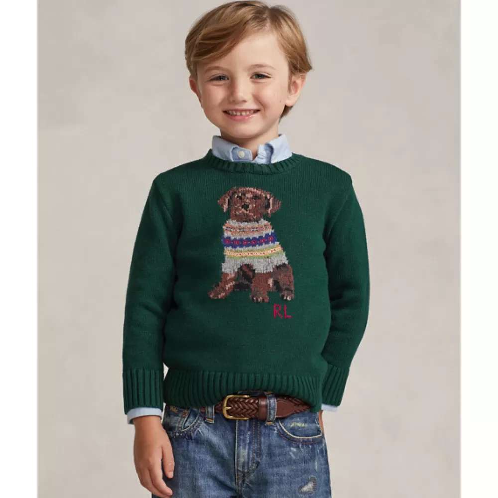 Pullover Und Strickjacken>Ralph Lauren Pullover Und Strickjacken Rundhalspullover mit Intarsienstrickerei für Children | ® DE