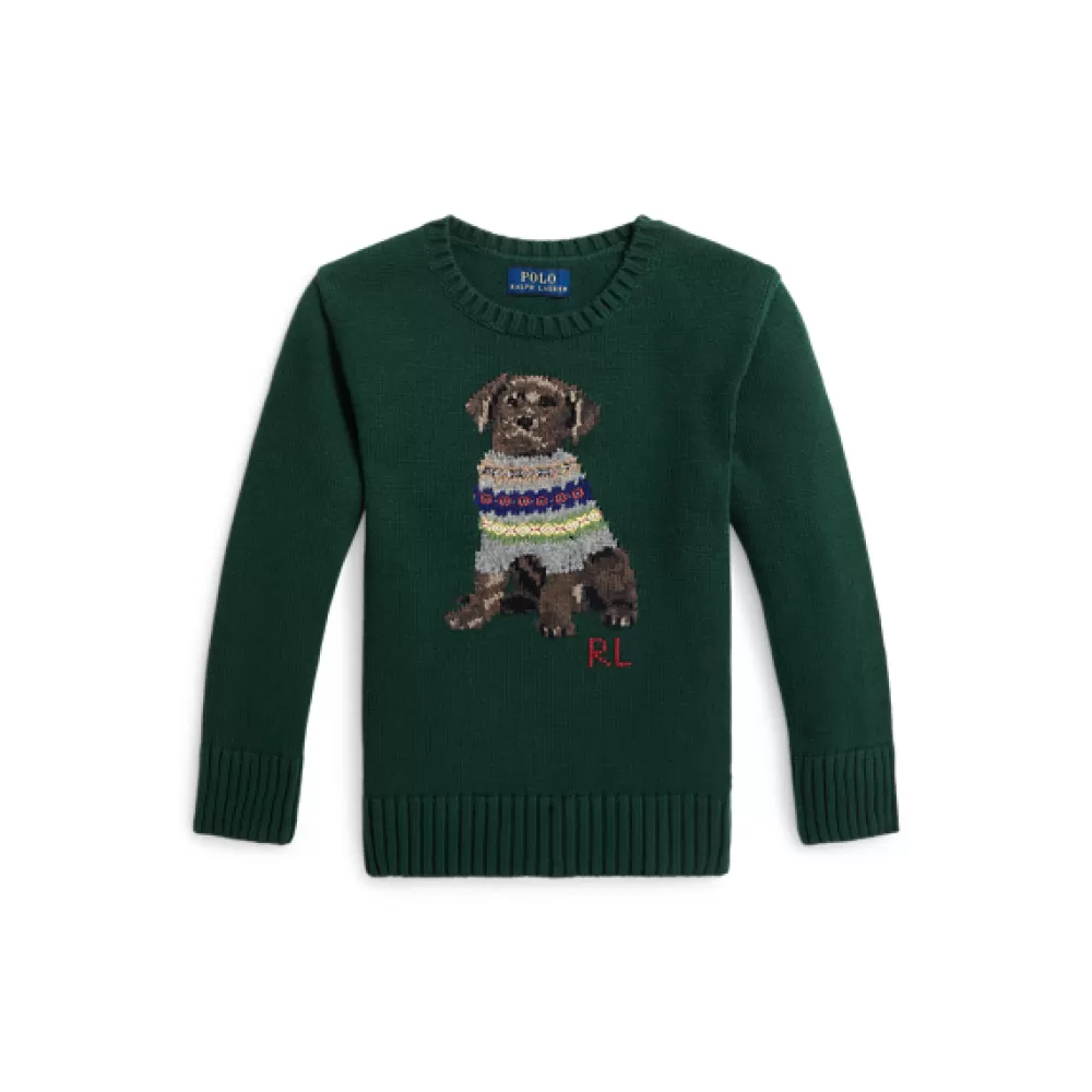 Pullover Und Strickjacken>Ralph Lauren Pullover Und Strickjacken Rundhalspullover mit Intarsienstrickerei für Children | ® DE