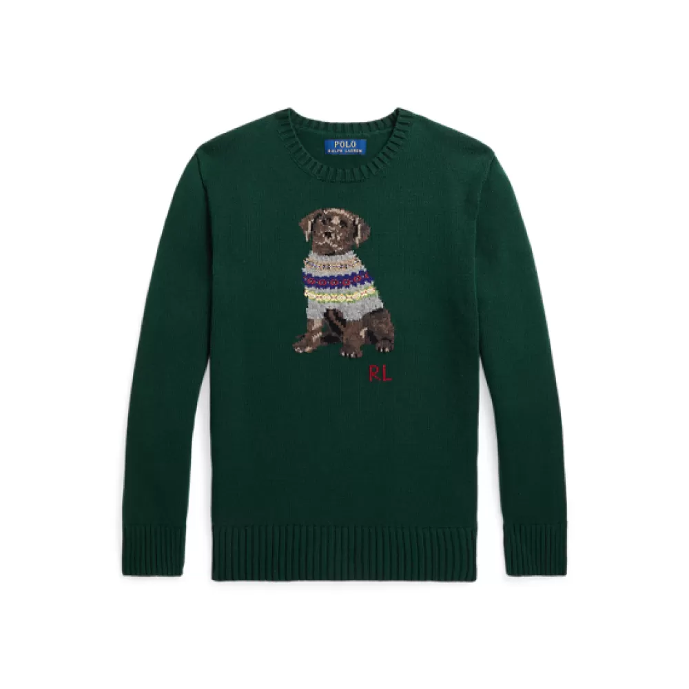 Pullover Und Strickjacken>Ralph Lauren Pullover Und Strickjacken Rundhalspullover mit Intarsienstrickerei für Children | ® DE