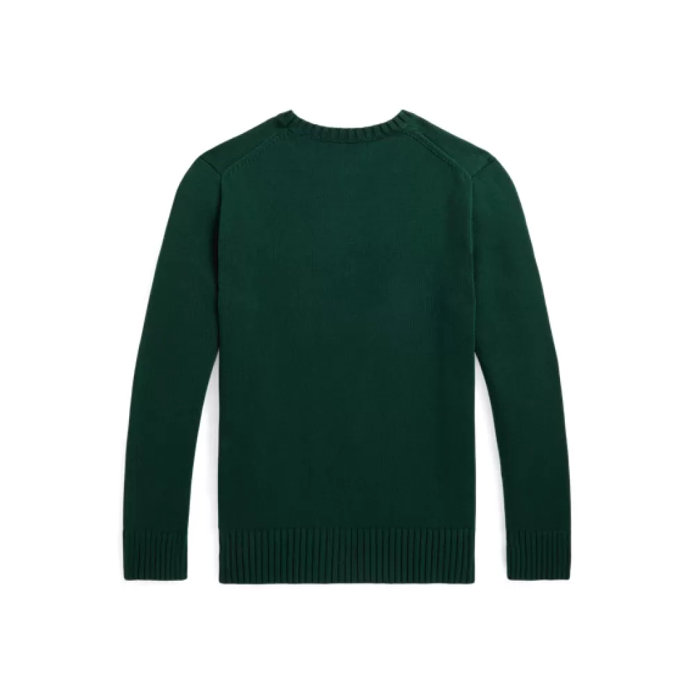 Pullover Und Strickjacken>Ralph Lauren Pullover Und Strickjacken Rundhalspullover mit Intarsienstrickerei für Children | ® DE