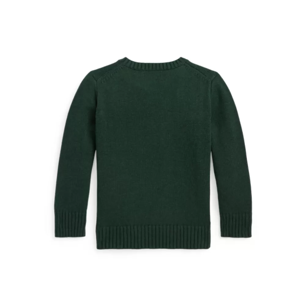 Pullover Und Strickjacken>Ralph Lauren Pullover Und Strickjacken Rundhalspullover mit Pferdekopf für Children | ® DE